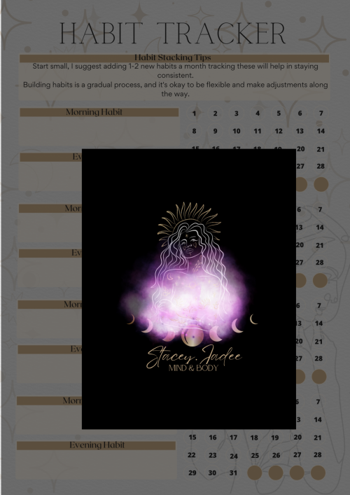 THE CONSCIOUS HABIT LOG